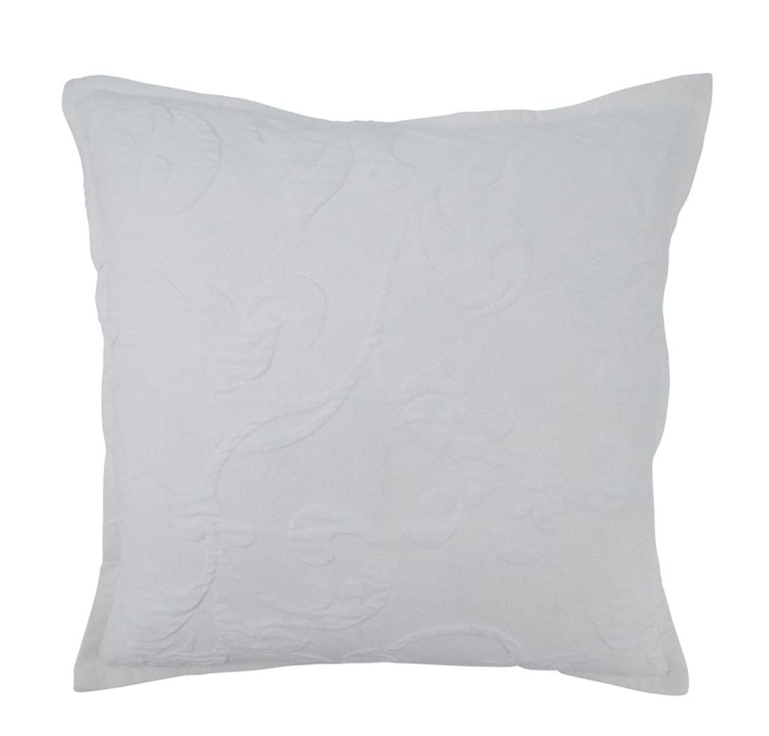 Fennco Styles Floral Design Decorative Filled Throw Pillow 17" W x 17" L - White Flower Square Cushion for Home, Couch, Office, Bedroom and Living Room Décor
