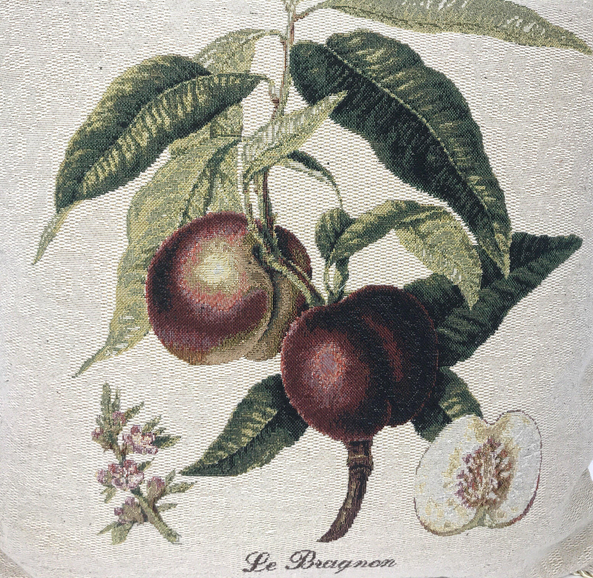 DaDa Bedding Nectarine Fruits Elegant Accent Throw Pillow Cushion Cover - 18" - 1-Piece